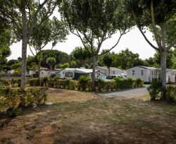 Camping Saint Hilaire de Riez, Emplacement allée