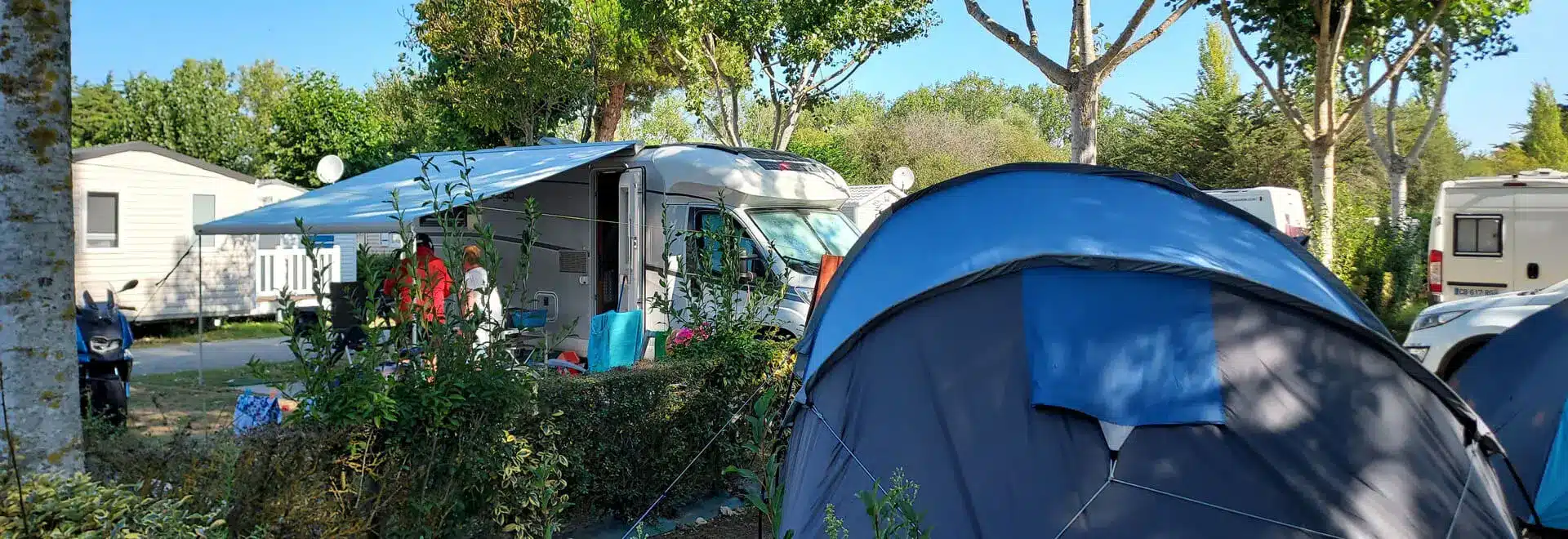 Camping avec tente et caravane sous les arbres.