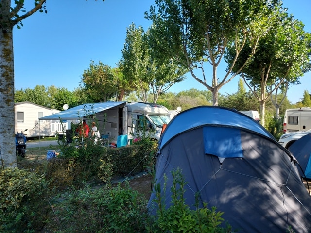 Tente et camping-car dans un camping arboré.