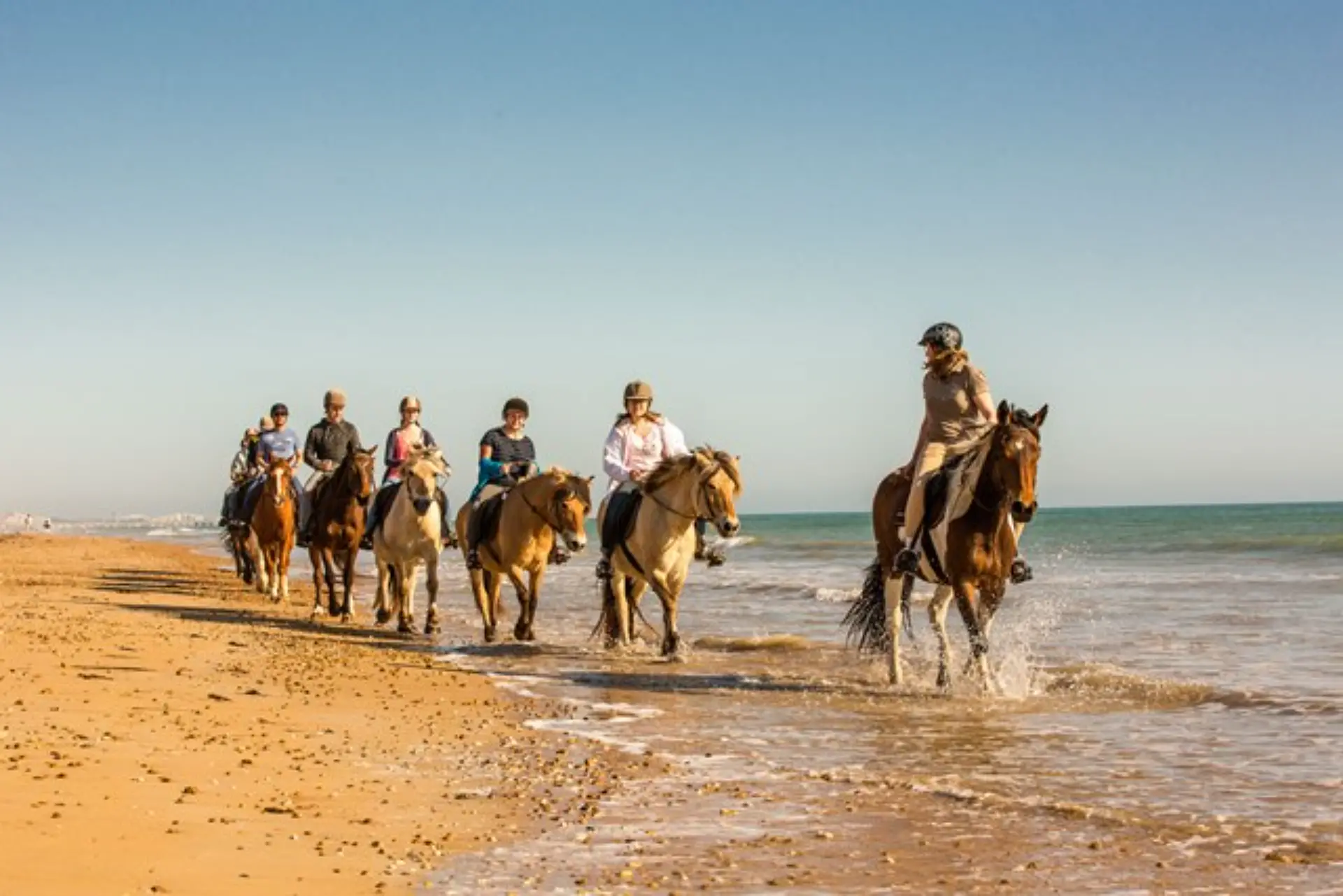 Groupe équestre chevauche sur la plage ensoleillée