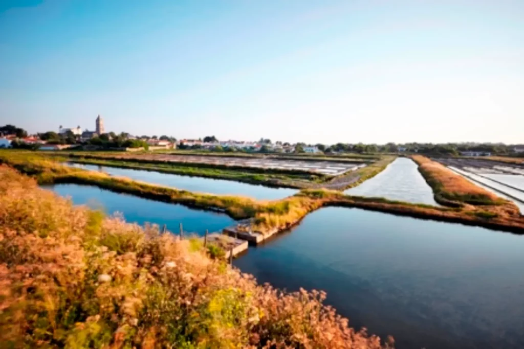 Marais salants sous ciel bleu à Guérande.