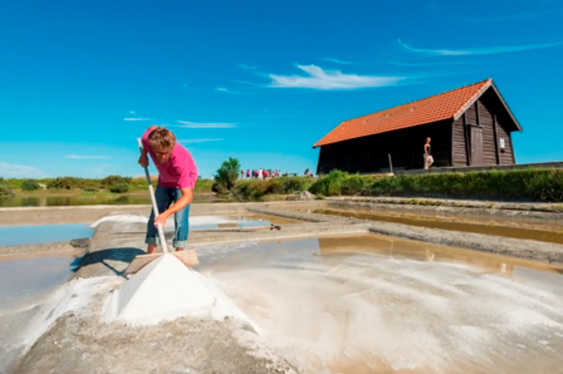 Travailleur récoltant du sel dans une saline.