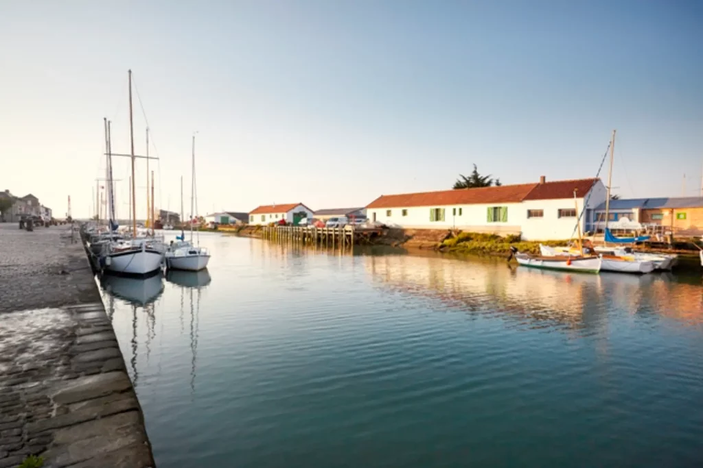 Port avec bateaux au coucher du soleil