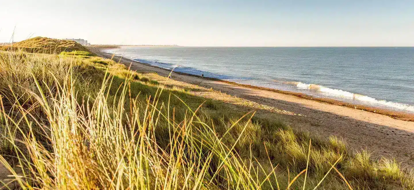 Plage côtière avec dunes et herbe au soleil couchant.
