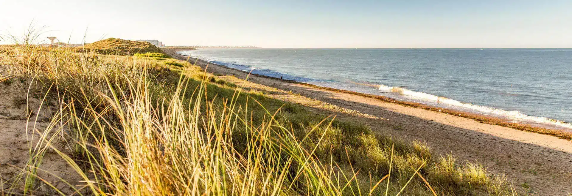 Plage côtière avec dunes et herbe au soleil couchant.