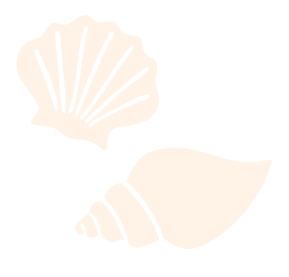 Illustration de coquillages marins en beige